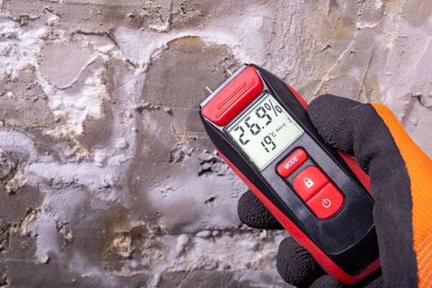 Best Residential Mold Removal  in Kahaluu, HI