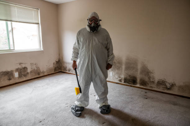 Best Certified Mold Removal  in Kahaluu, HI
